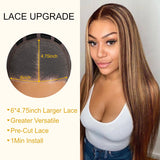 Sunber Undetectable Skin Melt Lace Wig Lace Front Wigs Long Straight Hair Perfect Honey Highlight Wig