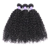 Sunber Hair New Remy Human Hair Peruvian Curly Hair 3 Bundles with 4X4 Lace Closure Good Quality Black Color Hair Bundles Deal