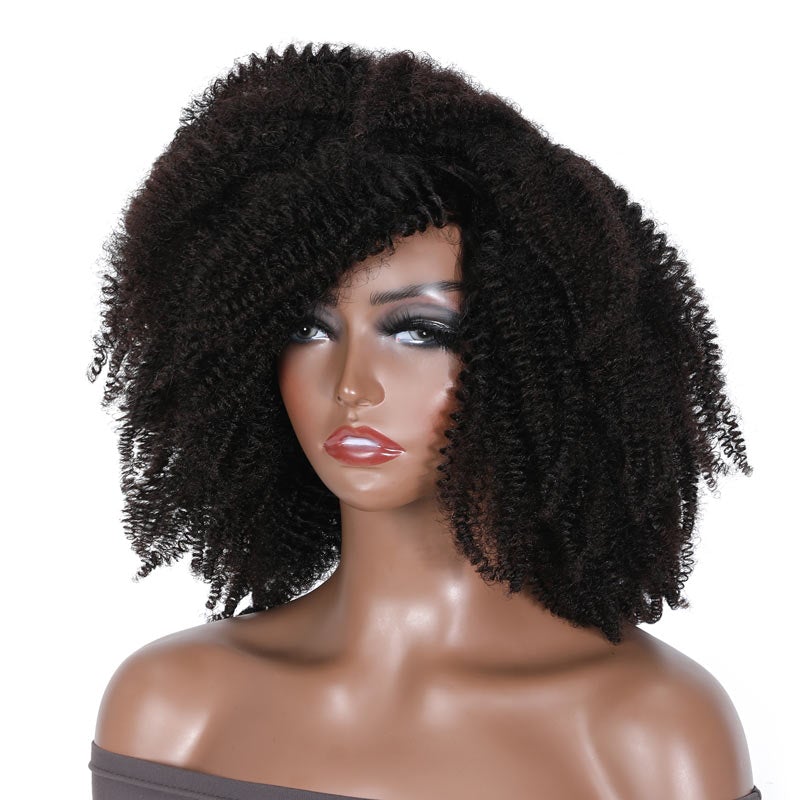 Sunber Thick Afro Kinky Curly No Lace Wig Machine Made Affordable Human Hair Wigs