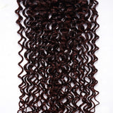 Sunber 1pcs Reddish Brown Jerry Curly 4x4 Lace Closure